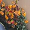 debbiedeal14